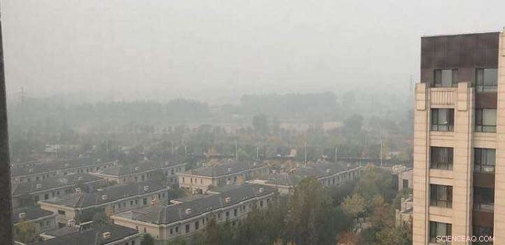 Using Statistical Analysis to Shape Effective Air Pollution Policies