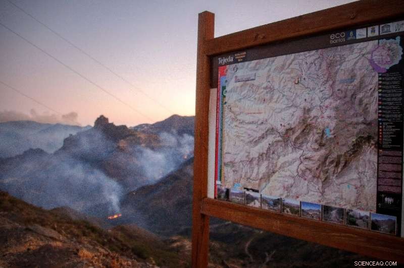 Gran Canaria Wildfire Threatening Protected Areas Begins to Subside