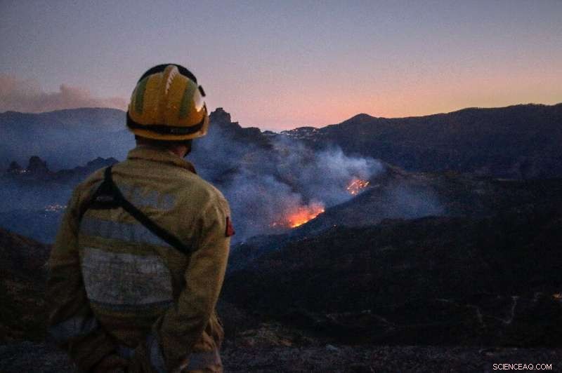 Gran Canaria Wildfire Threatening Protected Areas Begins to Subside