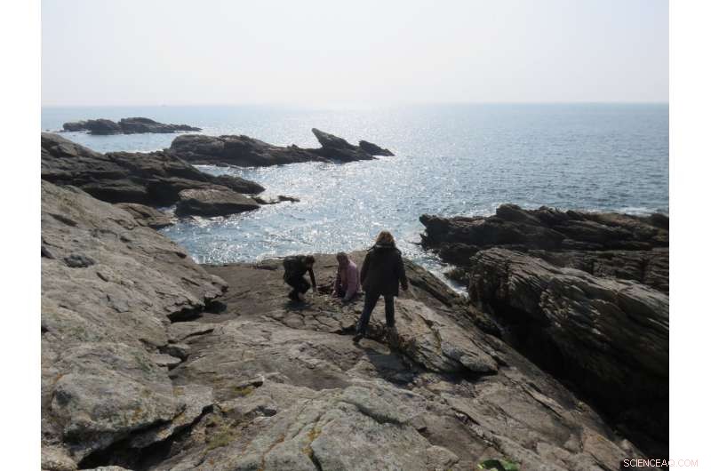 Scientists Decode 300‑Million‑Year‑Old Rainwater to Reveal Western France s Geological Past