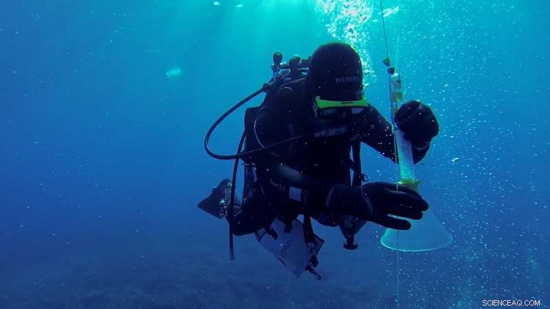 Monitoring Ocean Floor CO₂ Leak Sites: Ensuring Safe Deep-Seabed Carbon Storage