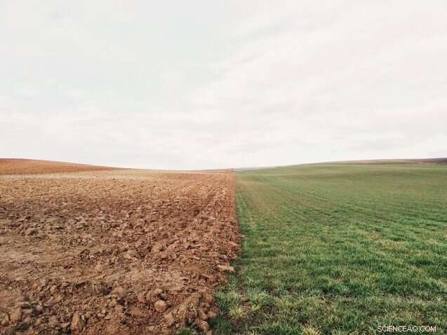 The Climate Crisis and Its Impact on Global Land Rights