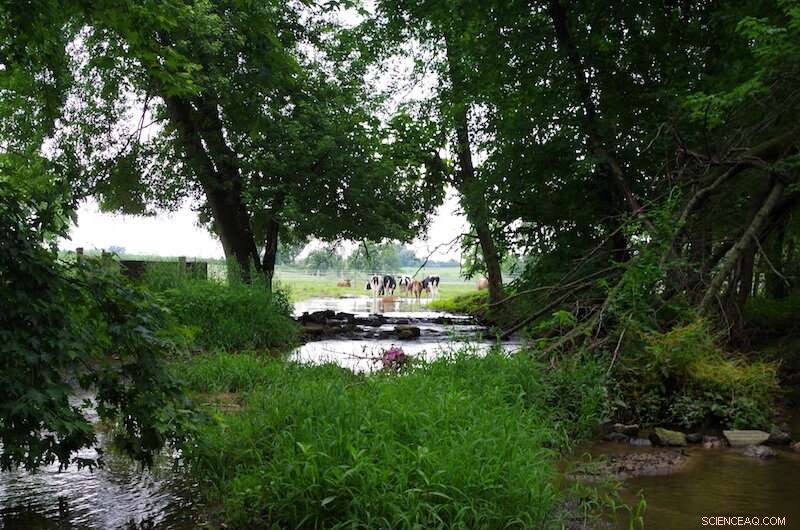 Are We Truly Protecting Rivers & Streams From Pollution? The Uncertain Reality