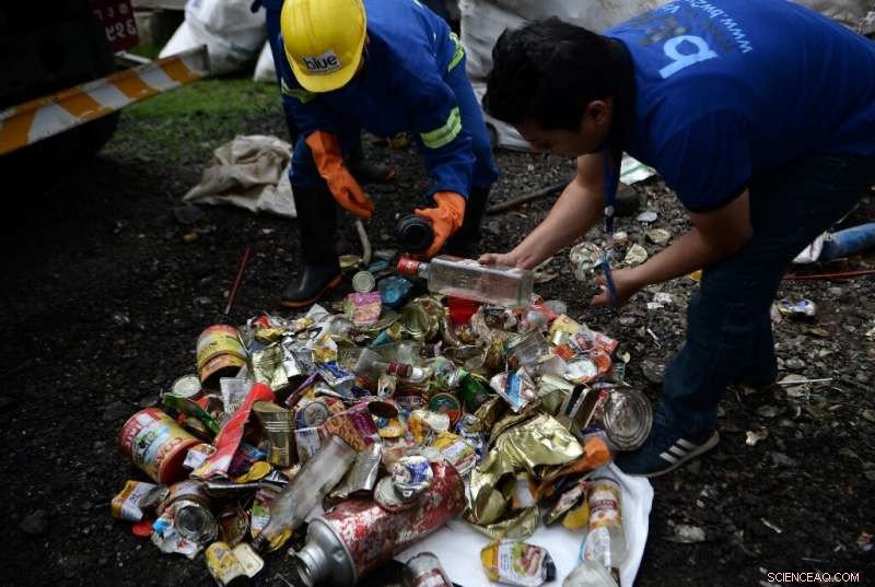 Everest Region Enforces Ban on Single‑Use Plastics to Preserve the Mountains