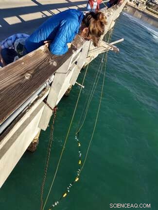 UC San Diego Pioneers Global Study on Microplastics & Microfibers