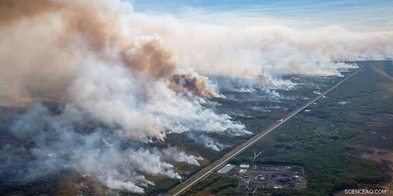 AI-Driven Weather Mapping Predicts Forest Fire Hotspots for Firefighters