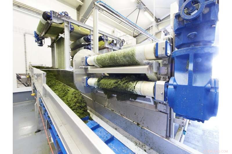 Using Magnets to Harvest Algal Molecules: A Game Changer for Beauty and Bioplastics