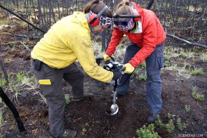 Study Finds Frequent Wildfires Threaten Boreal Forests  Role as Carbon Sinks