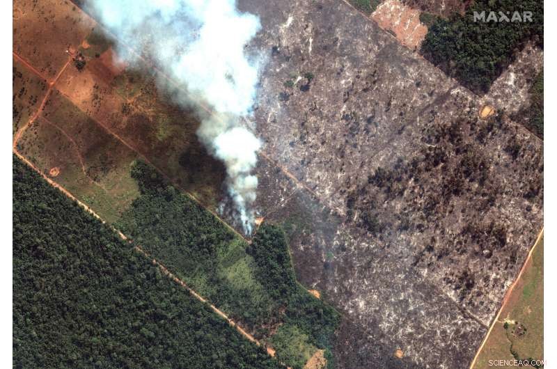 Amazon Wildfires Ignite Controversy Over Responsibility