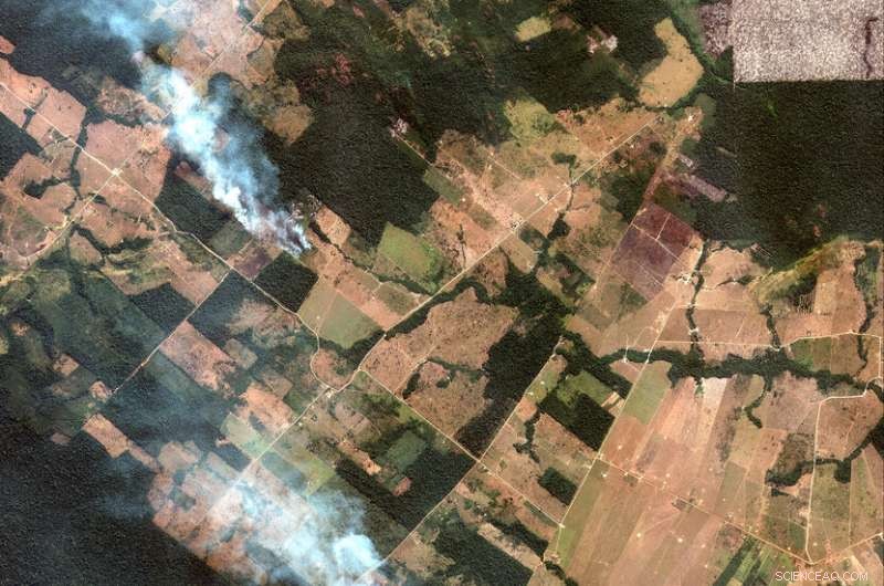 Amazon Wildfires Ignite Controversy Over Responsibility