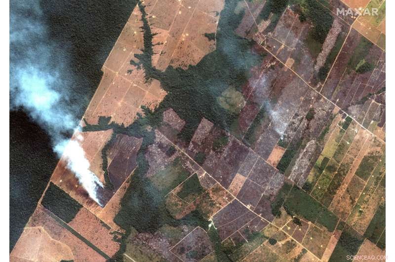 Amazon Wildfires Ignite Controversy Over Responsibility