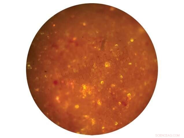 Laundry Washing: The Hidden Source of Microplastic Pollution