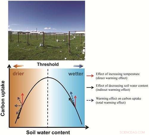 How Water Availability Shapes Carbon Uptake Amid Climate Warming – Key Study Insights