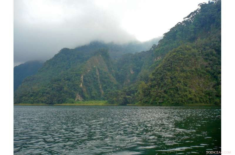 Locating Hydrothermal Vents in Volcanic Lakes: Advanced Detection Techniques