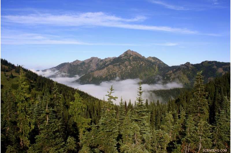 Scientists Decode the Mechanics of Slow‑Slip Earthquakes