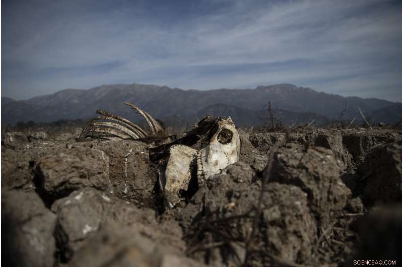 Chile Battles Record-Setting Drought, Endangering Santiago and Surrounding Regions