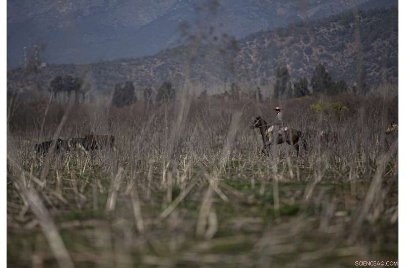 Chile Battles Record-Setting Drought, Endangering Santiago and Surrounding Regions