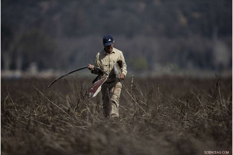 Chile Battles Record-Setting Drought, Endangering Santiago and Surrounding Regions