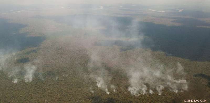 Amazon Fires: 5 Essential Facts You Need to Know