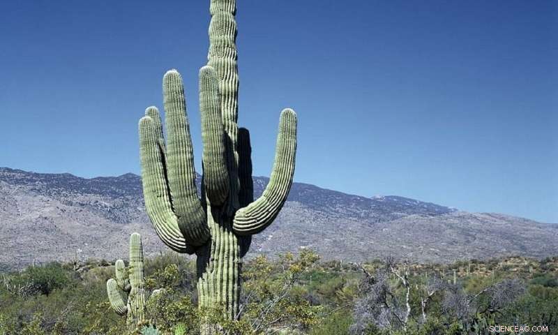 Western U.S. Farmers Trade Water for Cash Amid Escalating Drought