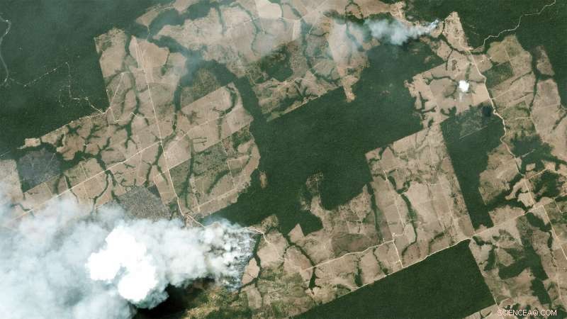 Understanding the Causes and Consequences of Amazon Wildfires