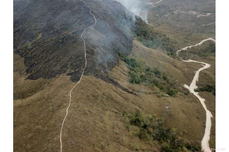 Understanding the Causes and Consequences of Amazon Wildfires