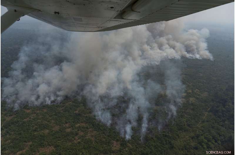 Understanding the Causes and Consequences of Amazon Wildfires