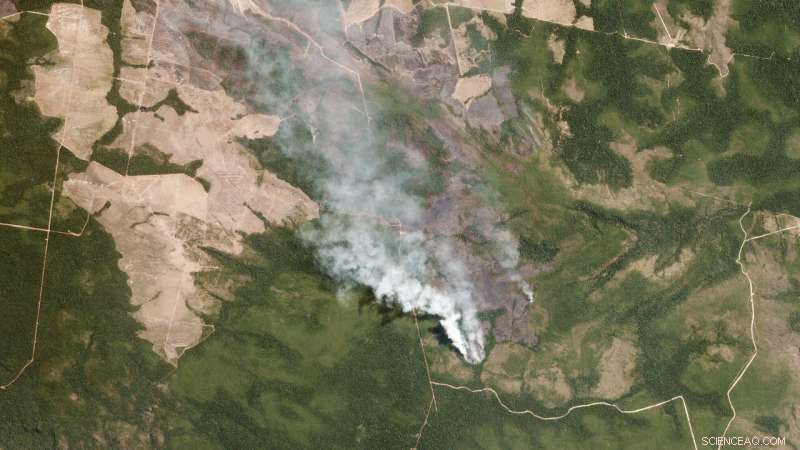 Understanding the Causes and Consequences of Amazon Wildfires