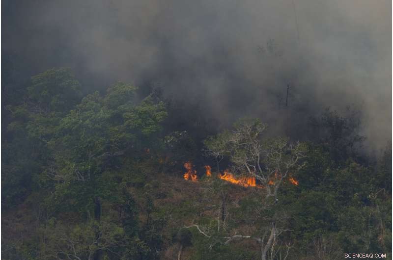 Understanding the Causes and Consequences of Amazon Wildfires
