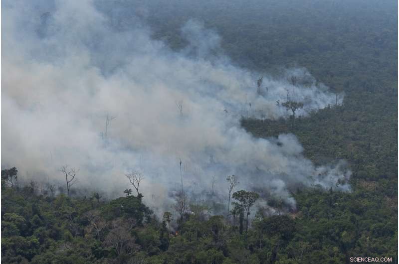 Understanding the Causes and Consequences of Amazon Wildfires