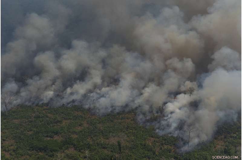 Understanding the Causes and Consequences of Amazon Wildfires