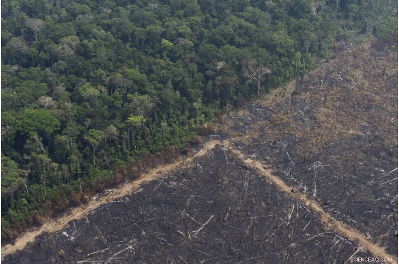 Understanding the Causes and Consequences of Amazon Wildfires