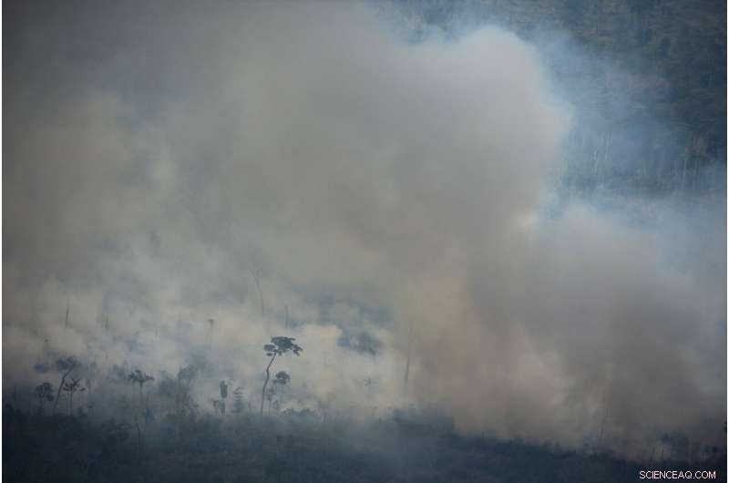 Understanding the Causes and Consequences of Amazon Wildfires