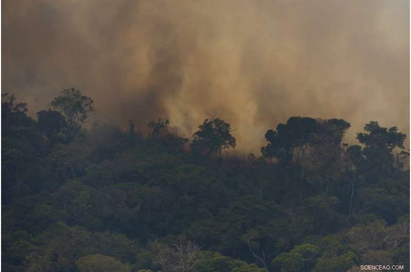 Understanding the Causes and Consequences of Amazon Wildfires