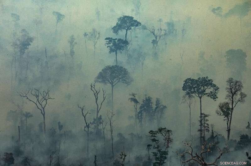 G7 Commits $20M to Deploy Firefighting Aircraft in Amazon