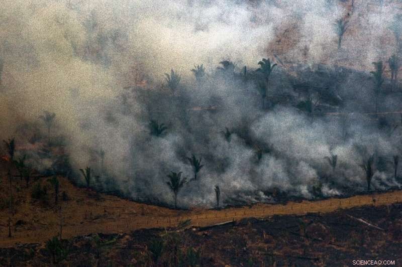Brazilian Army Deploys Aircraft to Contain Amazon Fires Amid Rising Threat