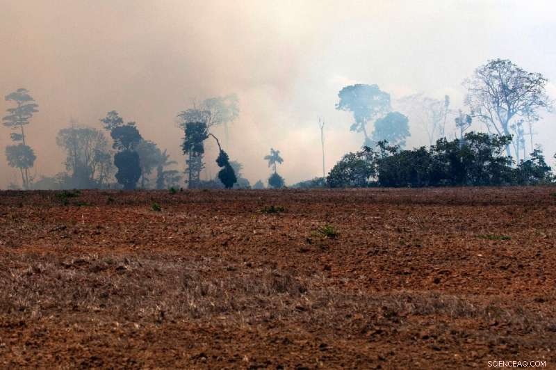 Brazilian Army Deploys Aircraft to Contain Amazon Fires Amid Rising Threat