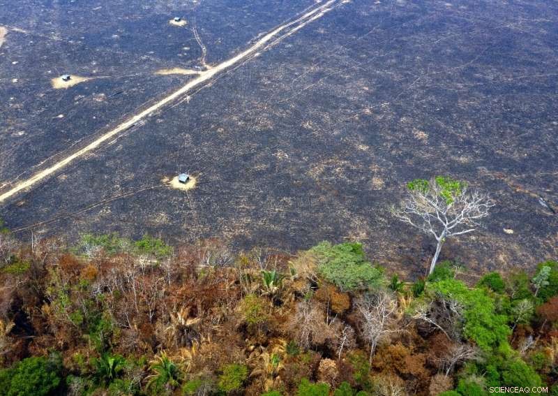 Brazilian Army Deploys Aircraft to Contain Amazon Fires Amid Rising Threat
