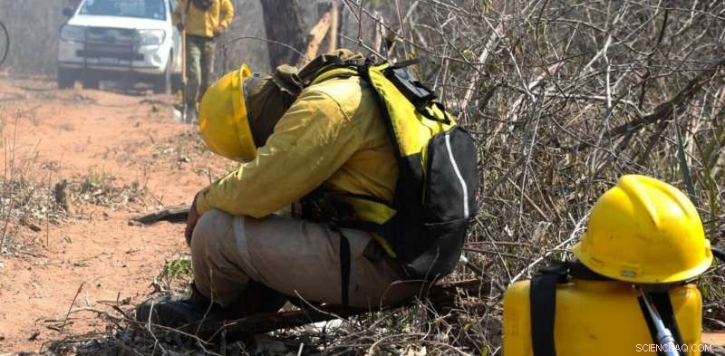 Bolivia s Forest Fires Threaten Residents and Wildlife—A Growing Crisis Beyond Brazil s Amazon