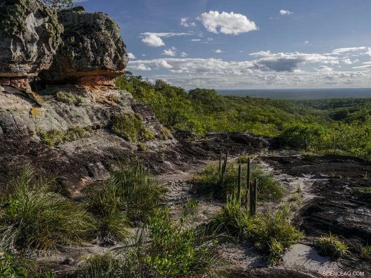 Bolivia s Forest Fires Threaten Residents and Wildlife—A Growing Crisis Beyond Brazil s Amazon