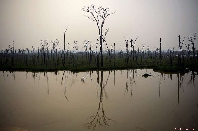 Heavy Smoke Over Northern Brazil Amid Escalating Amazon Fires