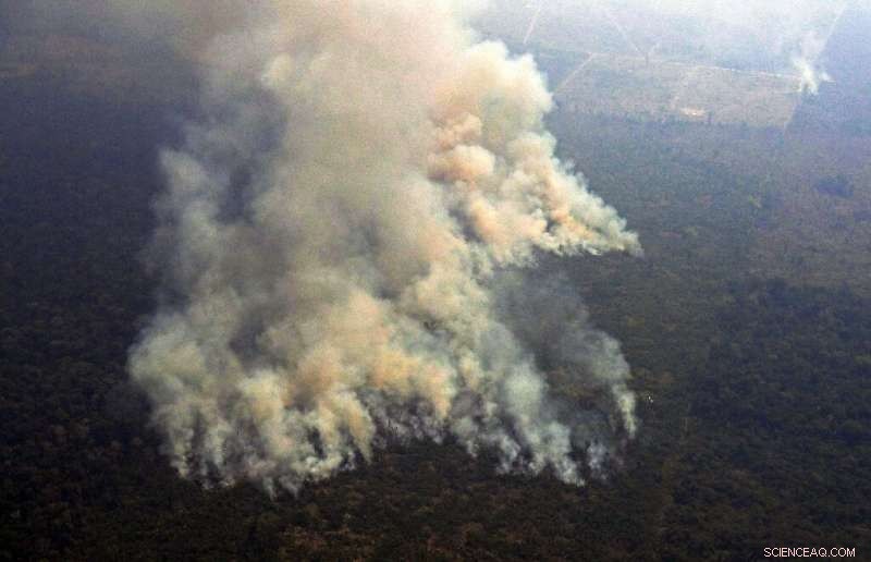 Heavy Smoke Over Northern Brazil Amid Escalating Amazon Fires