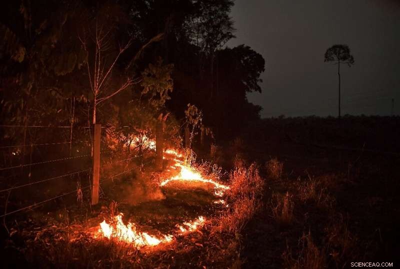 Brazil Deploys Military Planes to Counter Sudden Surge of Amazon Fires