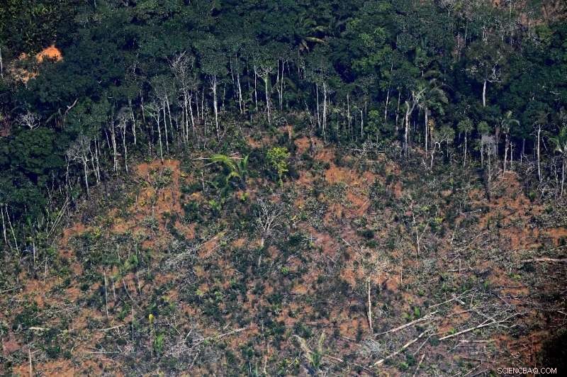 Brazil Deploys Military Planes to Counter Sudden Surge of Amazon Fires