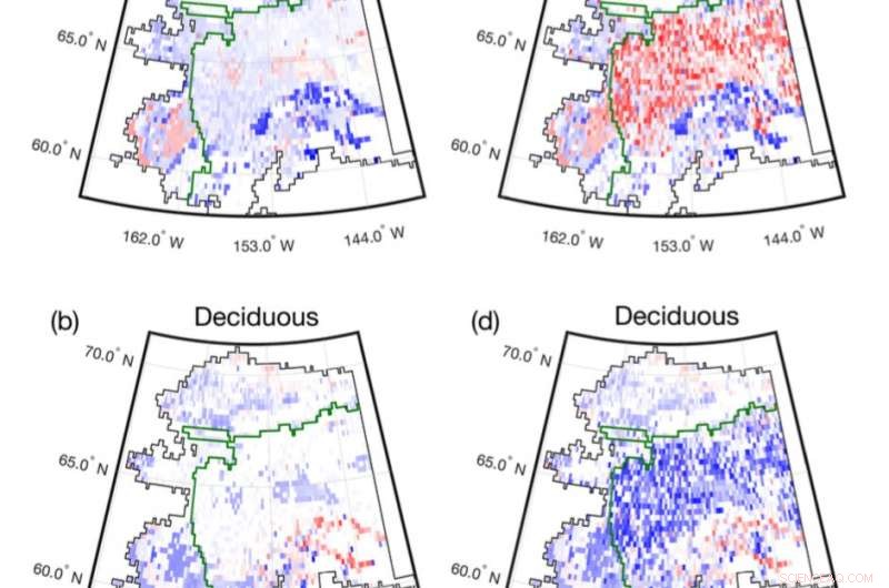 Alaska’s Forests at Risk: Wildfires Could Permanently Shift Species Composition