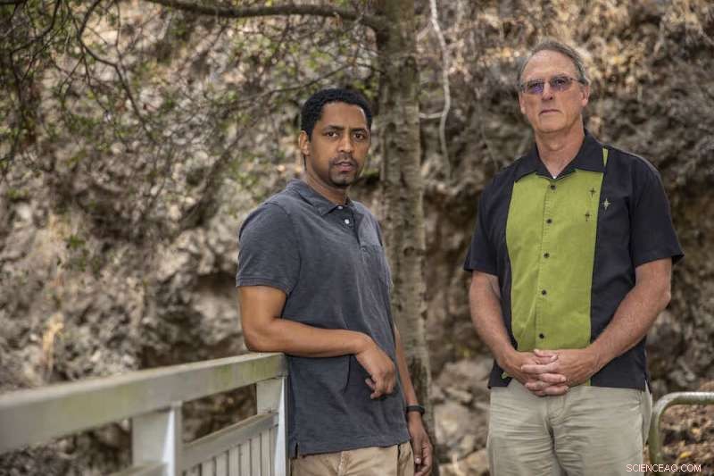 Alaska’s Forests at Risk: Wildfires Could Permanently Shift Species Composition