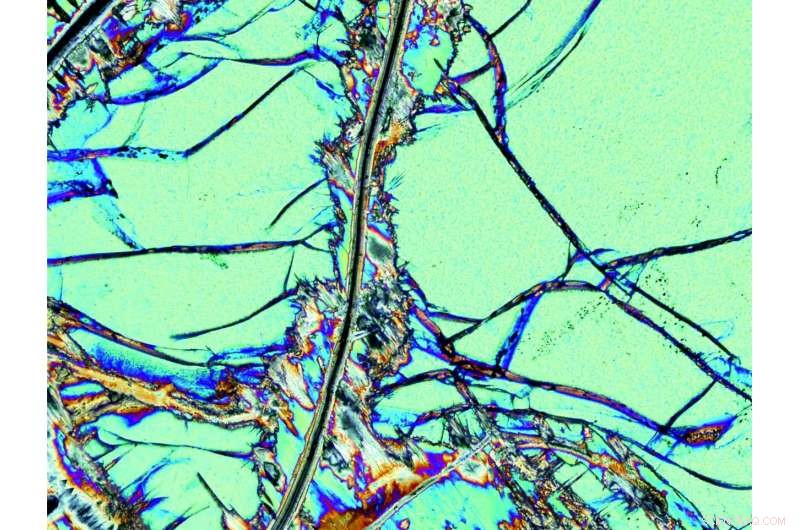 Direct Evidence of a Mantle Plume Origin for Jurassic Flood Basalts in Southern Africa