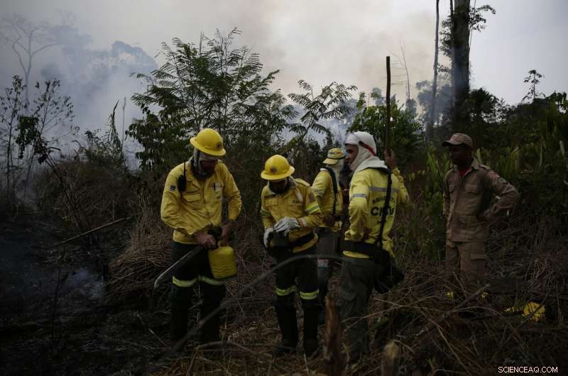 Brazilian Firefighters Battle Smoke‑Shrouded Amazon Fires