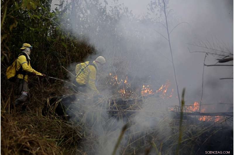 Brazilian Firefighters Battle Smoke‑Shrouded Amazon Fires
