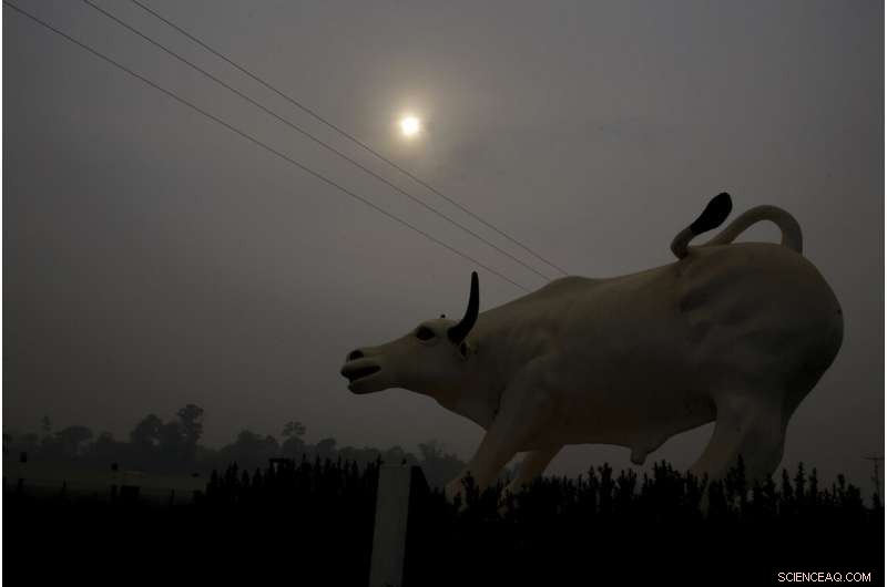 Brazilian Firefighters Battle Smoke‑Shrouded Amazon Fires